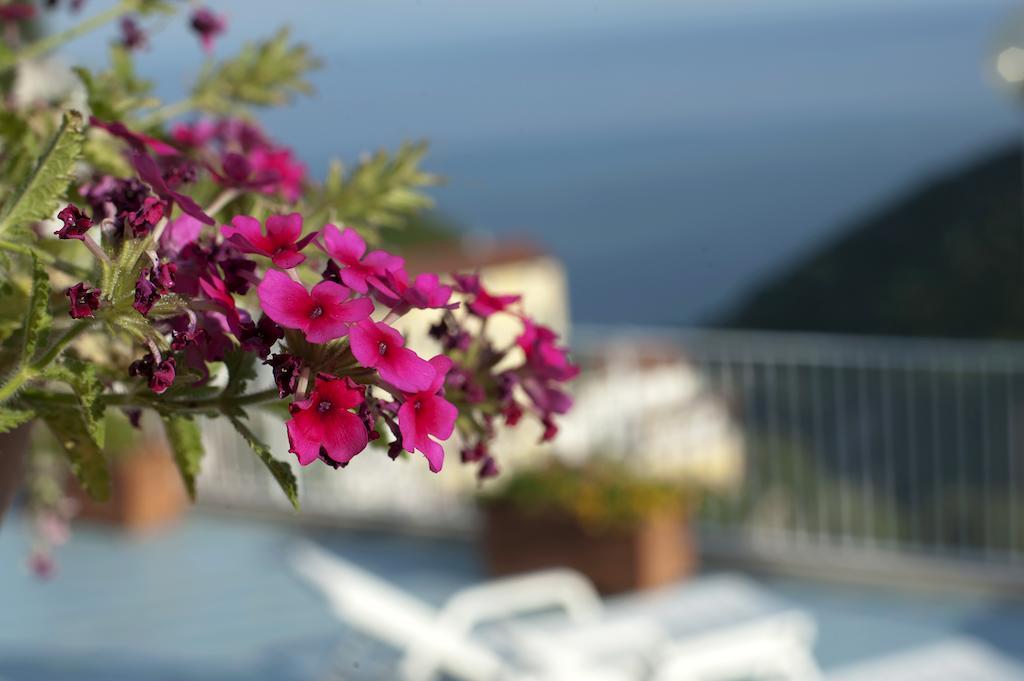 Le Terrazze Di Cristina Bed and Breakfast Vietri Buitenkant foto