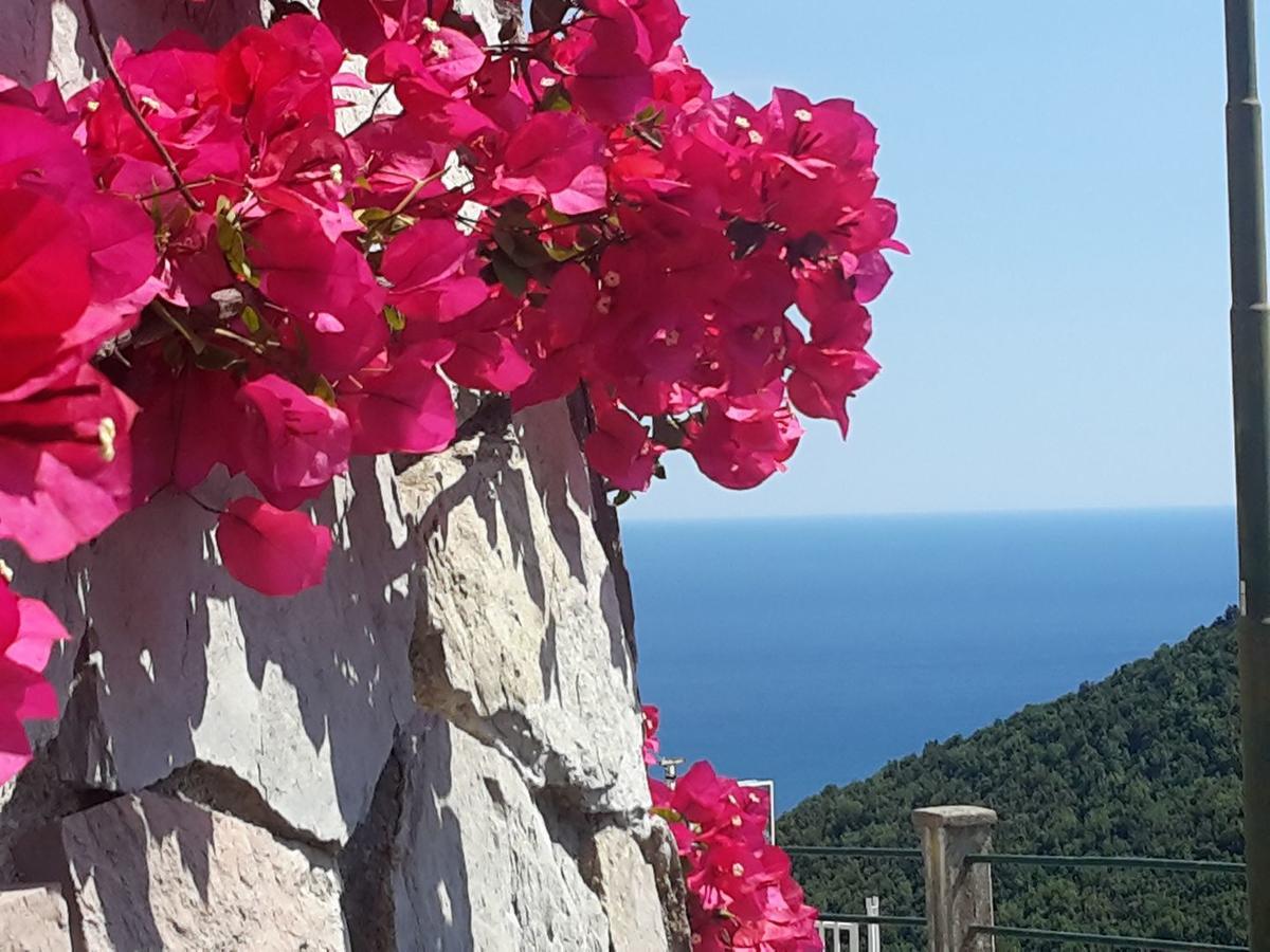 Le Terrazze Di Cristina Bed and Breakfast Vietri Buitenkant foto