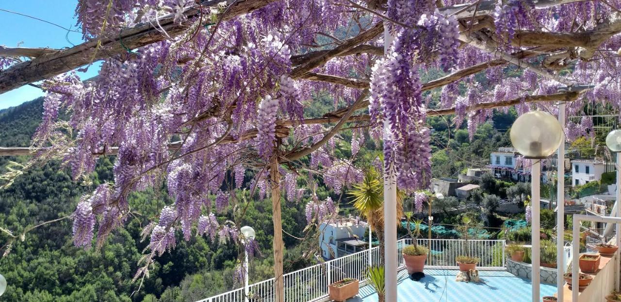 Le Terrazze Di Cristina Bed and Breakfast Vietri Buitenkant foto
